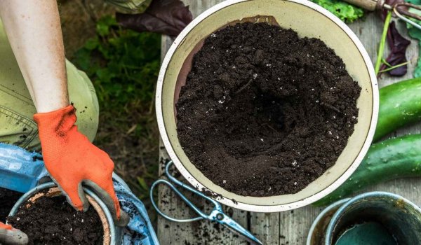 Bahçe Toprağı Nasıl Olmalı?