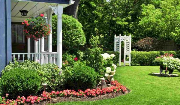 Bahçeye Yılan Gelmemesi İçin Ne Yapmalı​?