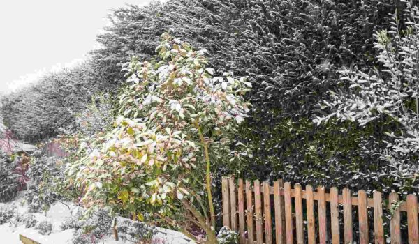 Şemsiyeniz Kışın Çökmesin: Kar Yükü Hesabı