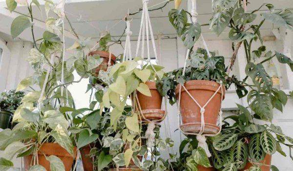 Kış Bahçesi Nedir? Kış Bahçesi Nasıl Yapılır?