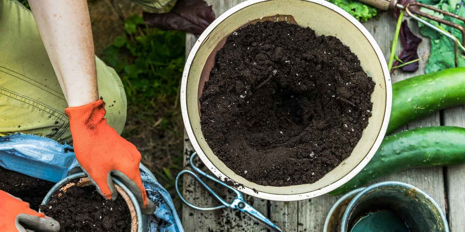 Bahçe Toprağı Nasıl Olmalı?