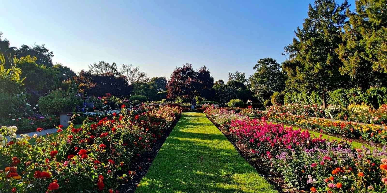 Yaz Kış Kurumayan Bahçe Çiçekleri Nelerdir?